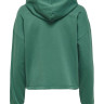 Толстовка ONLDREAMER LIFE L/S HOOD SWT NOOS 15241103 Smoke Pine ONLY M Зелений 15241103SMOKEPINE