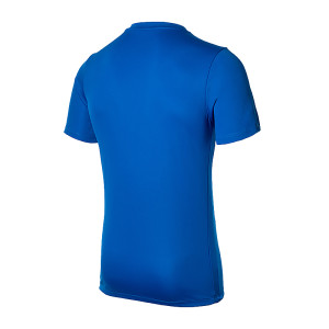 Футболка тренувальна Nike Park VI Jersey 725891-463