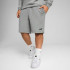 Шорти спортивні ESS No. 1 Logo Shorts 68259403 Puma L Сірий 68259403