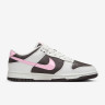 Кросівки Nike Dunk Low IB8510-100