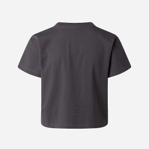 Футболка W ESSENTIAL REGULAR SHORT SLEEVE CUTIE T TNF 0A8GR1RHI1 THE NORTH FACE XS Темно-сірий 0A8GR1RHI1