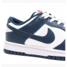 Кросівки Nike Dunk Low Retro Valerian Blue Blue DD1391-400