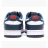 Кросівки Nike Dunk Low Retro Valerian Blue Blue DD1391-400