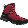 Черевики Salewa MTN Trainer 2 MID GTX Wms 013.001.5514