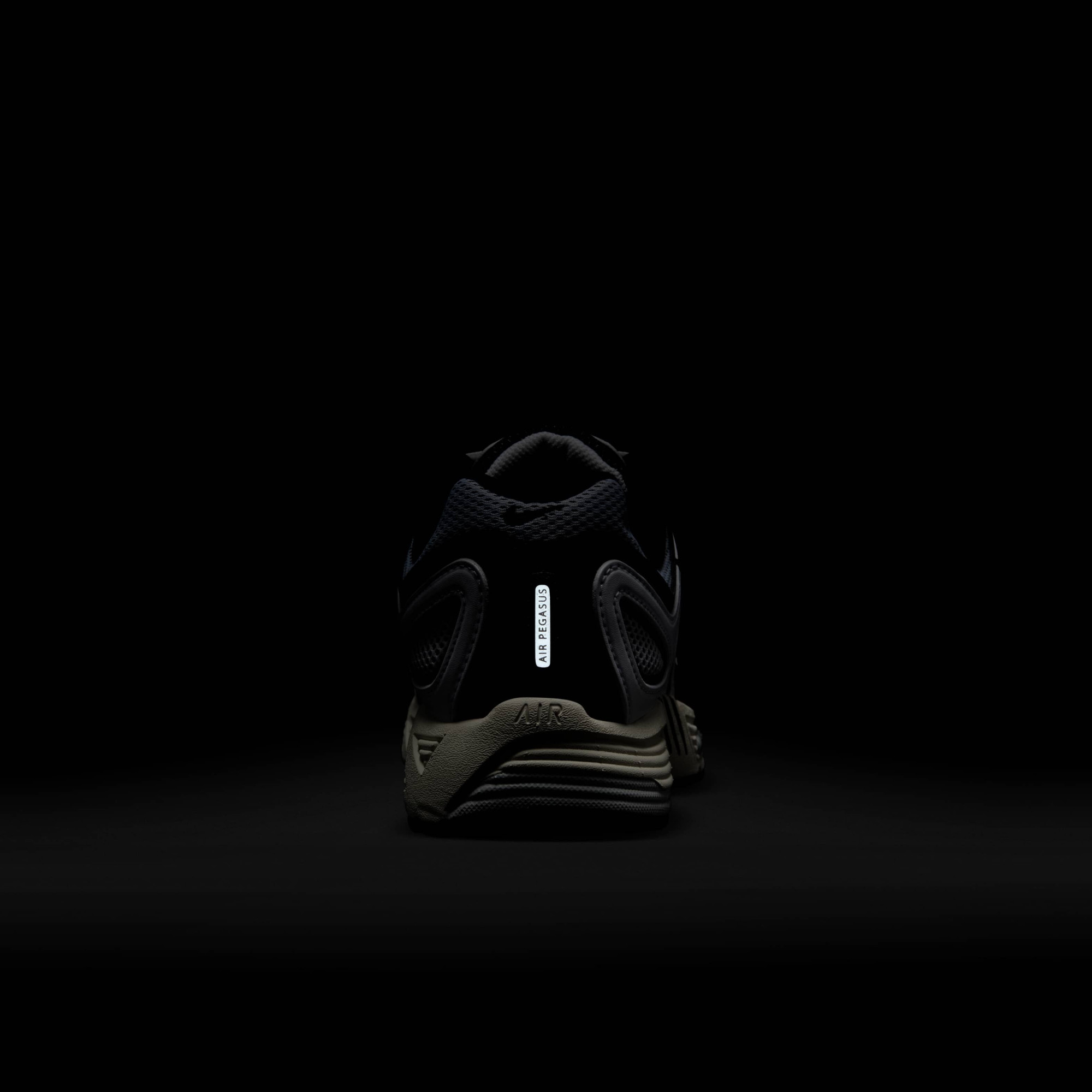 Кросівки Nike Air Pegasus 2005 HQ5718-600