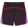 Шорти individual BLAZE Shorts Midnight Plum 659904-07