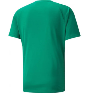Футболка Puma teamLIGA Striped Jersey 704920-05