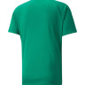 Футболка Puma teamLIGA Striped Jersey 704920-05