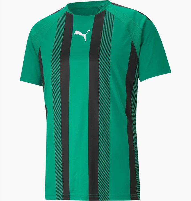 Футболка Puma teamLIGA Striped Jersey 704920-05