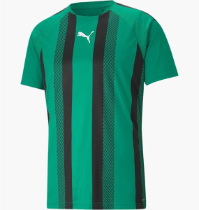 Футболка Puma teamLIGA Striped Jersey 704920-05