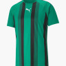 Футболка Puma teamLIGA Striped Jersey 704920-05