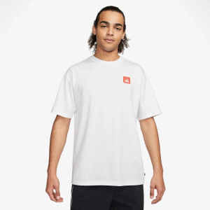 Футболка Nike U NK SB TEE PE SUST FJ1167-100