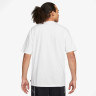 Футболка Nike U NK SB TEE PE SUST FJ1167-100