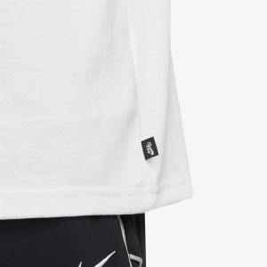 Футболка Nike U NK SB TEE PE SUST FJ1167-100