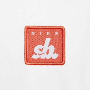 Футболка Nike U NK SB TEE PE SUST FJ1167-100