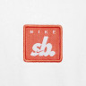 Футболка Nike U NK SB TEE PE SUST FJ1167-100