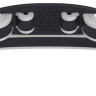 Окуляри для плавання Speedo VANQUISHER 3.0 MIRRORED чорний Уні One Size 8-00473509951