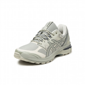Кросівки ASICS Gel-Terrain Seal Grey 1203A342-020