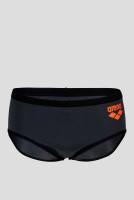 Плавки Arena ONE 12CM SWIM BRIEFS BIG LOGO 005914-551