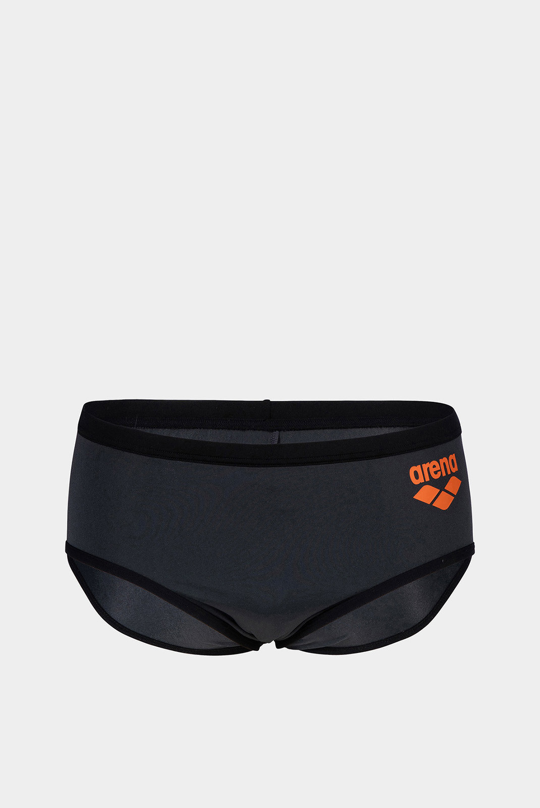 Плавки Arena ONE 12CM SWIM BRIEFS BIG LOGO 005914-551