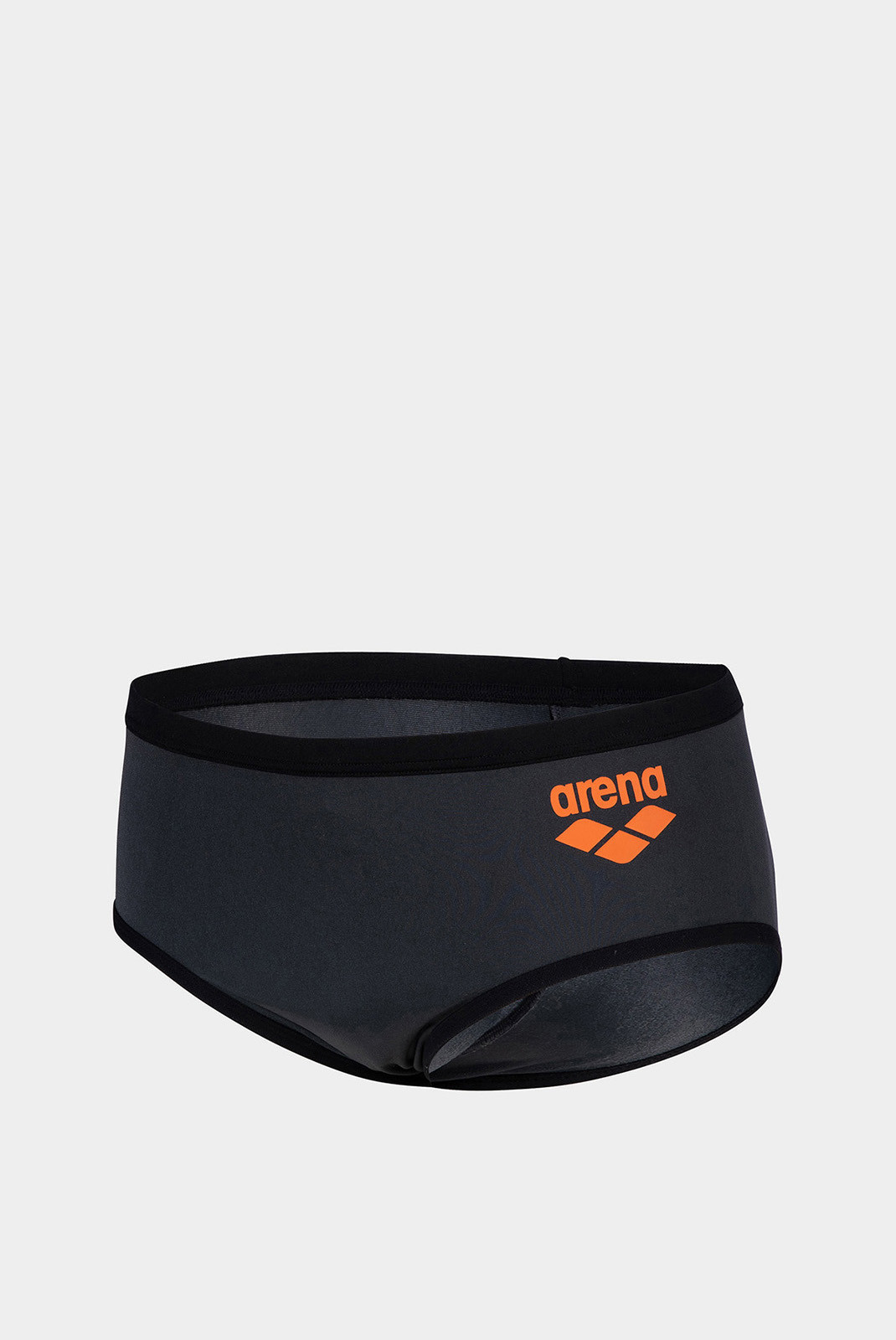 Плавки Arena ONE 12CM SWIM BRIEFS BIG LOGO 005914-551
