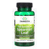 Капсули Swanson Full Spectrum Spearmint Leaf 400mg - 60 caps 2023-10-4065