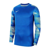 Футболка воротаря Nike JR Dry Park IV CJ6072-463