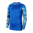Футболка воротаря Nike JR Dry Park IV CJ6072-463