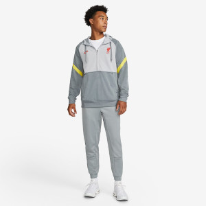 Худі чоловіче Nike Liverpool Fc Travel Fleece Grey DB7824-016