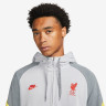 Худі чоловіче Nike Liverpool Fc Travel Fleece Grey DB7824-016
