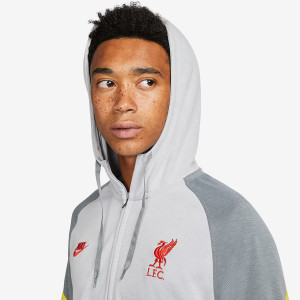 Худі чоловіче Nike Liverpool Fc Travel Fleece Grey DB7824-016