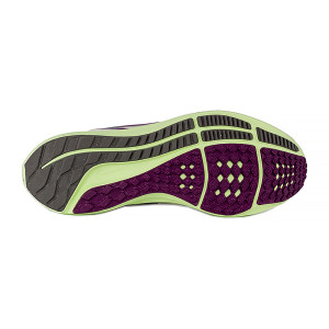 Кросівки Nike AIR ZOOM PEGASUS 39 DH4071-101