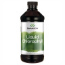 Порошок Liquid Chlorophyll 100mg - 473ml (16FL OZ) 100-60-3882547-20