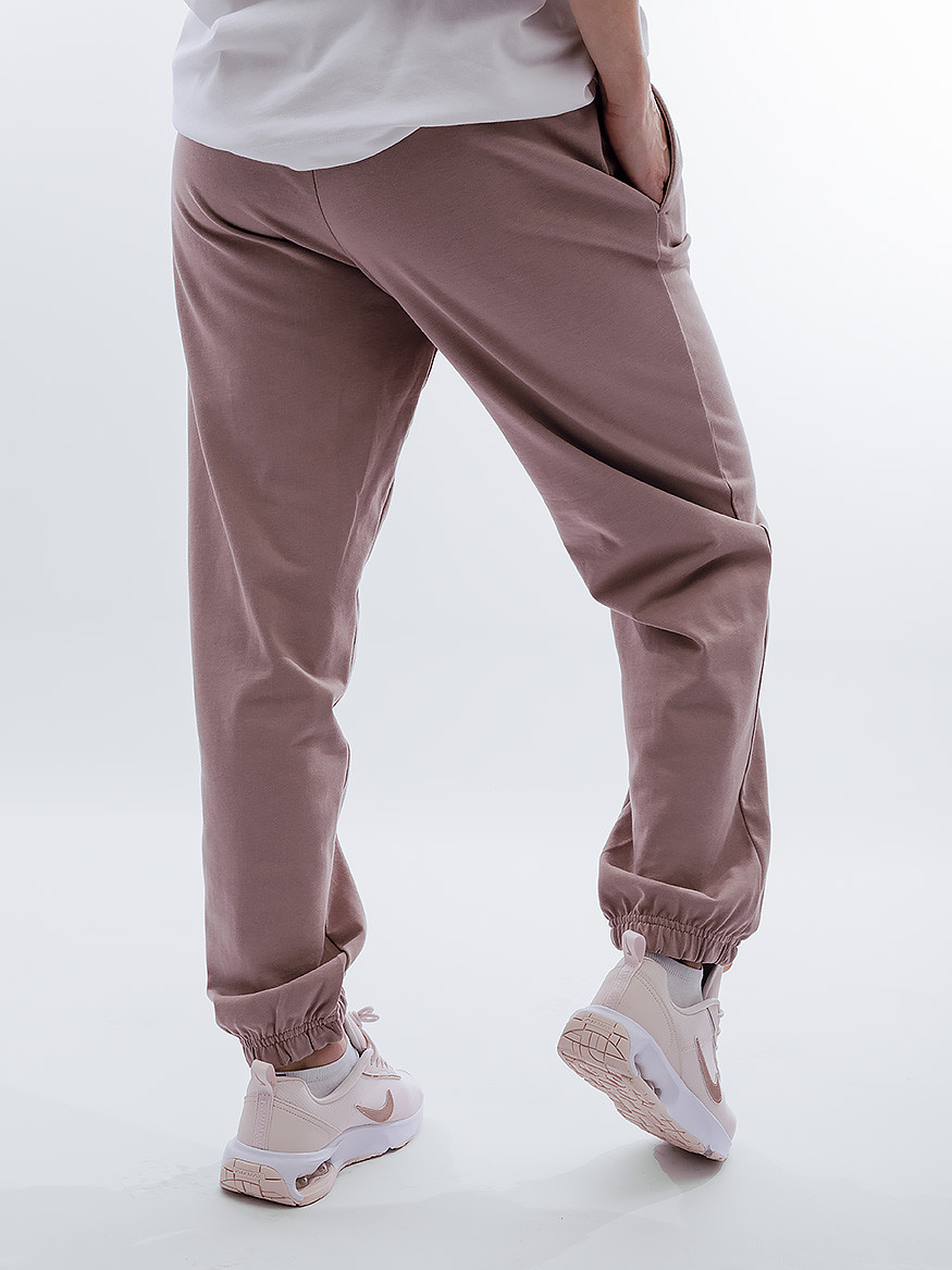 Штани Nike W NSW JRSY EASY JOGGER DM6419-272
