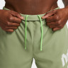 Шорти чоловічі Nike Dri-Fit Division Challenger 5 Brief-Lined Running Green DX0837-386