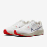 Кросівки бігові Nike Pegasus 40 DV3853-100 DV3853-100