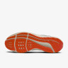 Кросівки бігові Nike Pegasus 40 DV3853-100 DV3853-100