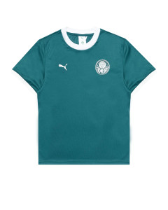 Футболка PUMA x PALMEIRAS Ringer Tee 629533-43