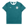 Футболка PUMA x PALMEIRAS Ringer Tee 629533-43