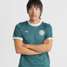 Футболка PUMA x PALMEIRAS Ringer Tee 629533-43
