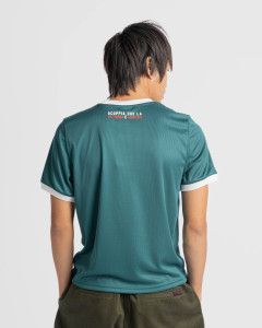 Футболка PUMA x PALMEIRAS Ringer Tee 629533-43