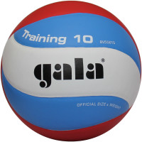 М'яч волейбольний Gala 210 Light 12 BV5555S BV5567S