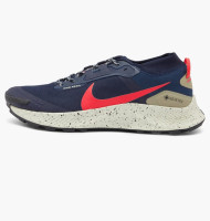 Кросівки чоловічі Nike Pegasus Trail 3 GTX  DC8793-401 43 DC8793-401