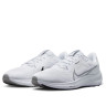 Кросівки Air Zoom Pegasus 40 DV3853-102