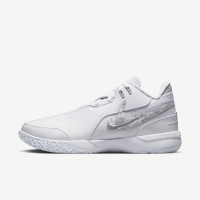 Кросівки Nike Zoom LeBron NXXT Gen AMPD FJ1566-102