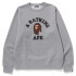 Кофта Bape GO APE POINTER COLLEGE CREWNECK 1K25113001
