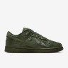 Кросівки Nike W DUNK LOW SS HV4388-300