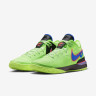 Кросівки унісекс Nike Lebron Nxxt Gen Basketball Shoes Green DR8784-300