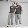 Штани спортивні ESS No. 1 Logo Sweatpants 68260803 Puma L Сірий 68260803