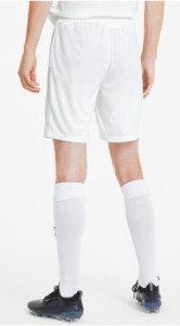 Шорти Puma teamGOAL 23 knit Shorts білий Чол L 704262-04